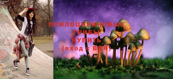 стаф Краснослободск