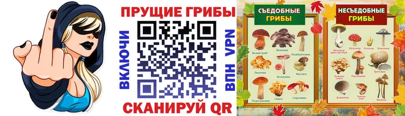 Галлюциногенные грибы Psilocybine cubensis  где можно купить   Красноармейск 